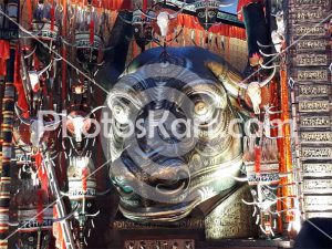 festivals & occasions image