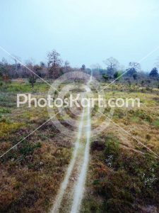 a rural area