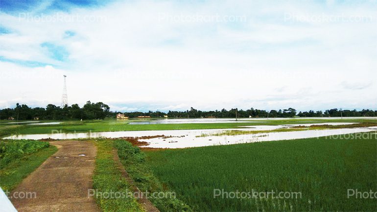 DG00016516