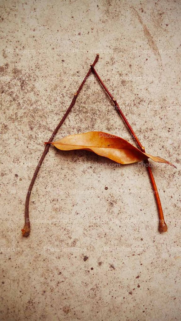 A Leaf Free Stock Photography