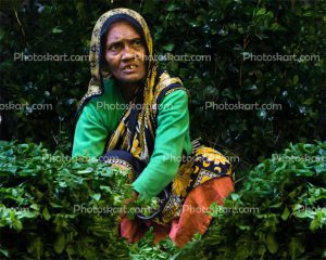 indian poor woman portrait stock photo