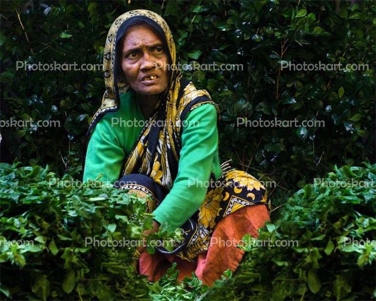 Indian Poor Woman Portrait Stock Photo