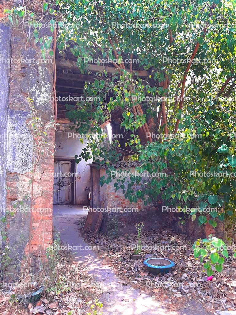 DG00032117, indian oldest house stock image, beautiful painting, No People, Photographer, photography in serampore, Photoskart, photoskart.com, photosmart, stock photos, Stock Photo. Exclusive in photoskart.com, Serampore photography, serampore photo, www.photoskart.com, old house, Indian oldest house