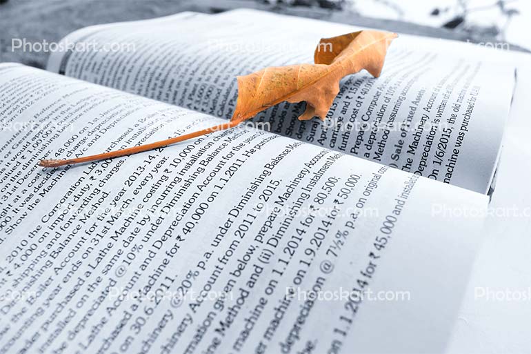 Open Book With A Leaf