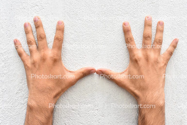 Two Hand 10 Fingers
