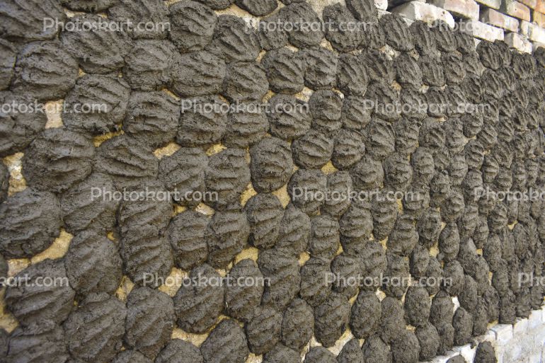 Bengal Dung Drying For Fuel