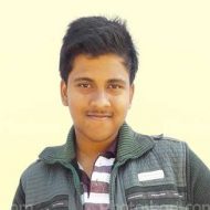 Tuhin Roy indian art creator portfolios