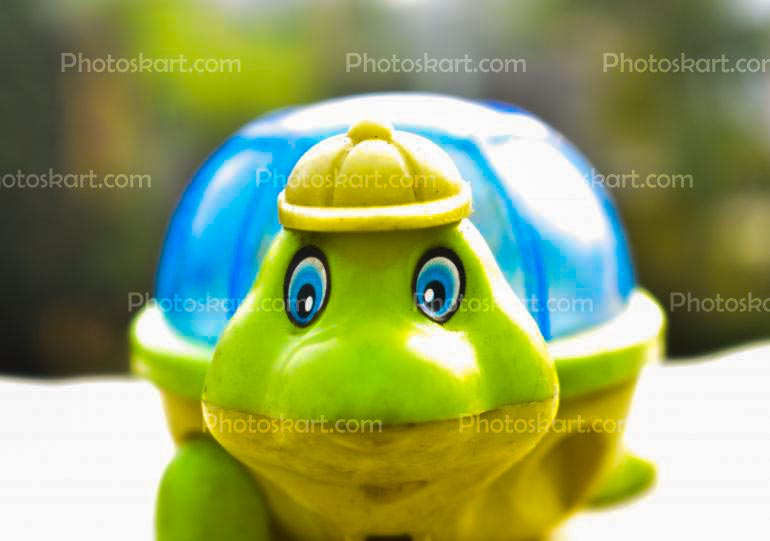 Tortoise Toy Friends Of A Child