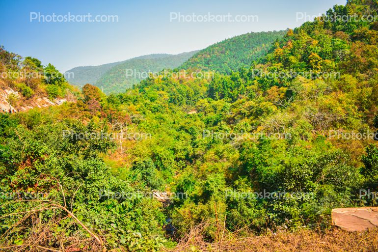 Nature With Hill