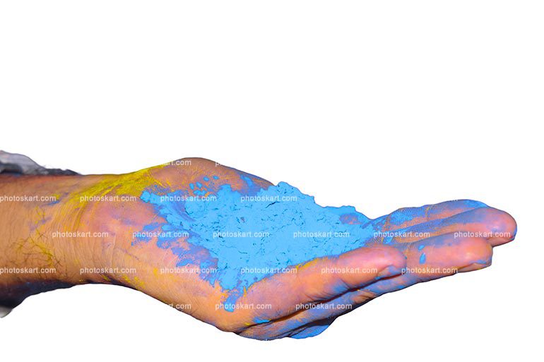 Hands Holding Cerulean Blue Color Gulal In Holi