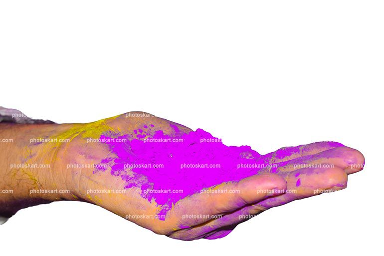 Holi Festival India Hands Stock Photos With Holding Purple Color Gulal