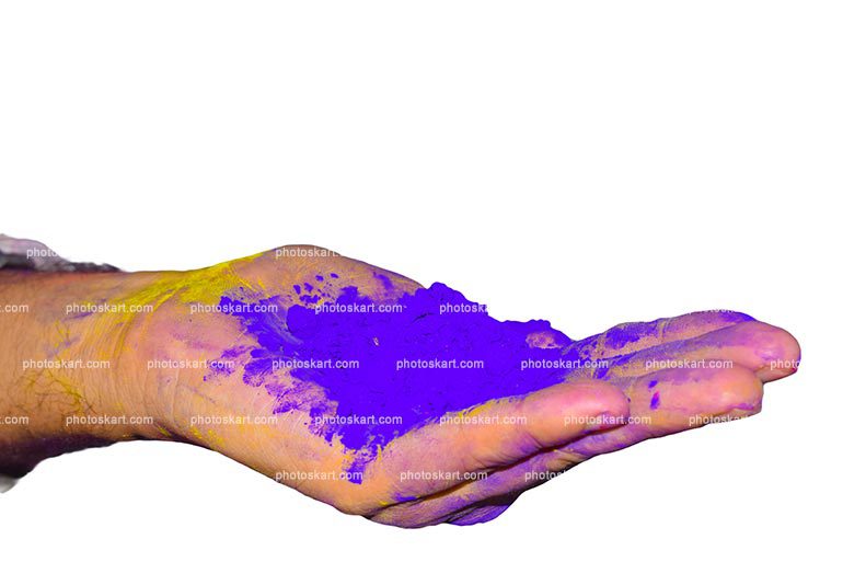 Holi Festival India Hands Stock Photos With Holding Violet Color Gulal