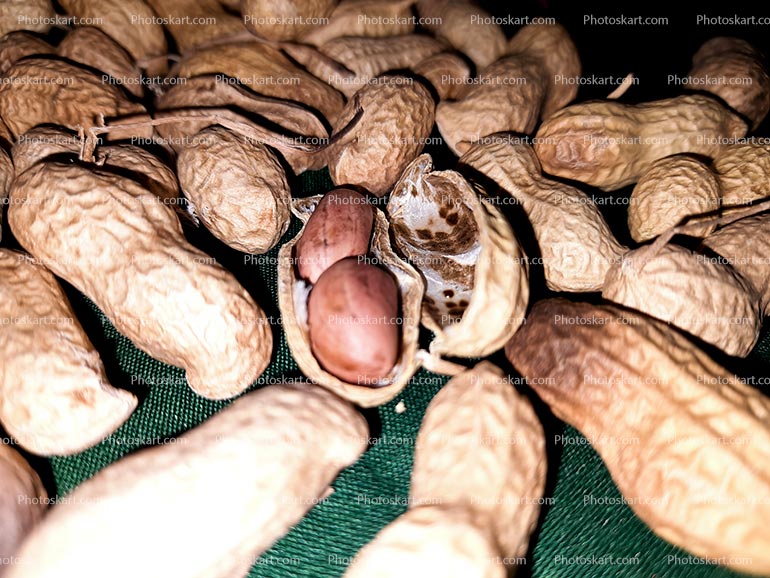 Peanuts Close Up Image
