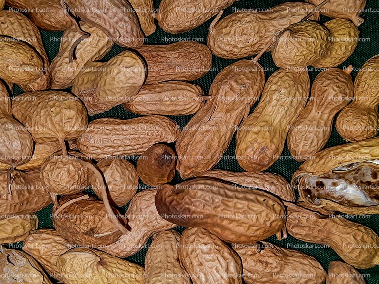 Raw Peanuts In The Shell