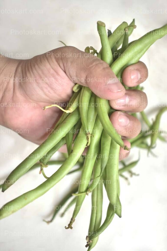 Brunch Of Beans Holding On Hand Image