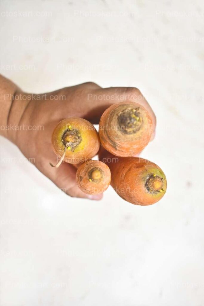Brunch Of Carrot Stock Image