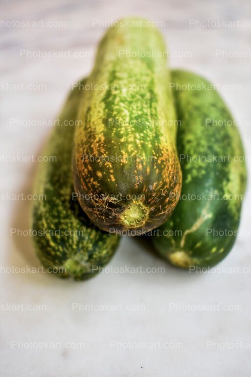 Cucumber Stock Image Photography