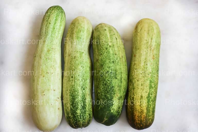 Fresh Cucumber Stock Photography