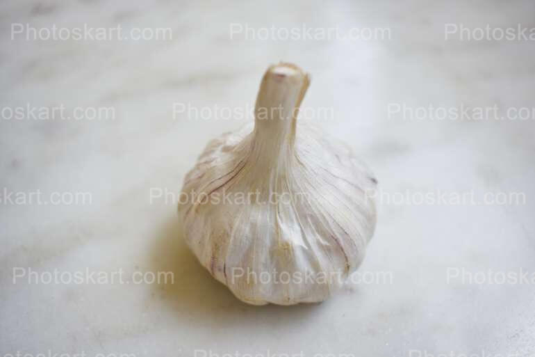 Fresh Garlic Stock Image