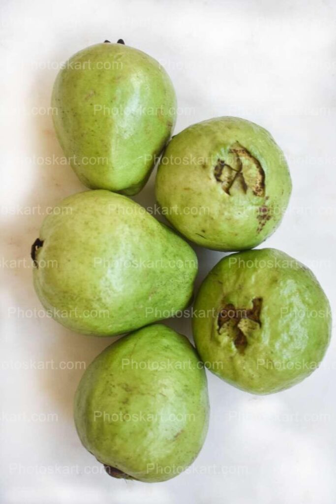 Guava With White Background Stock Photography