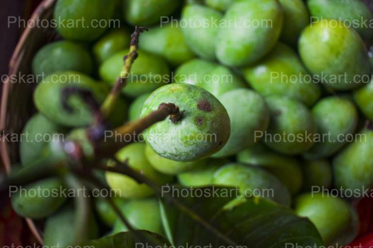 Summer Special Green Mangoes