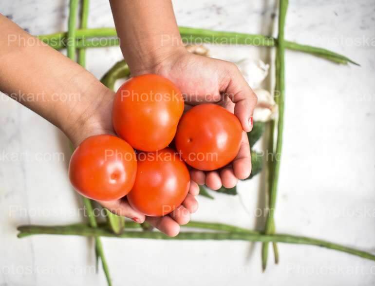Tomato Holding On A Two Hands Stock Image
