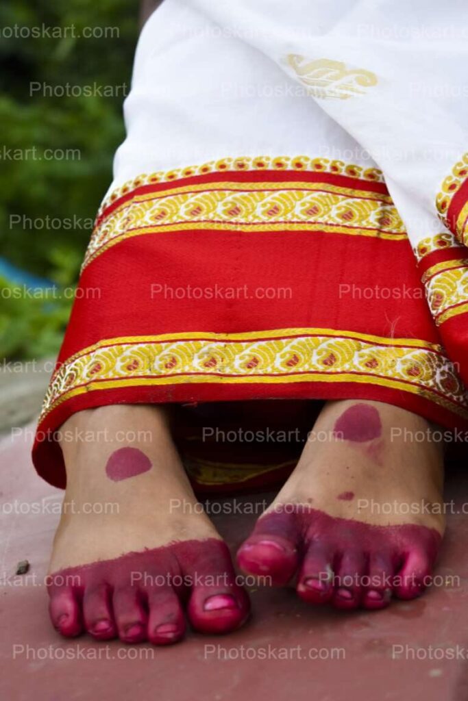 Art Of Agomoni Photography Royalty Free Stock Image