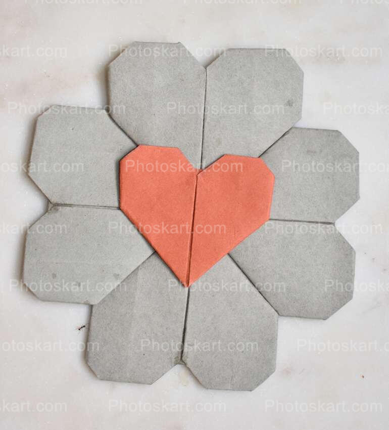 Flower Of Hearts Free Stock Image Photography