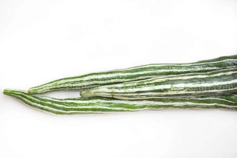 Free Image Of Snake Gourd