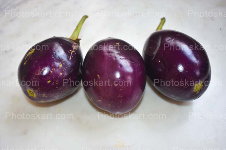 Fresh Eggplant Stock Image Photography