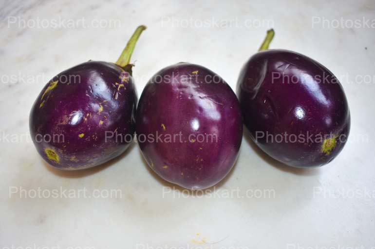 Fresh Eggplant Stock Image Photography