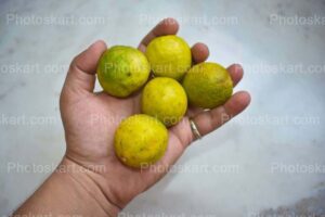 fresh-leamon-in-hand-stock-image