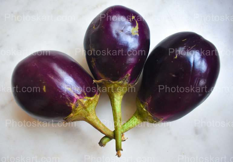 Fresh Organic Brinjal Stock Image Photography