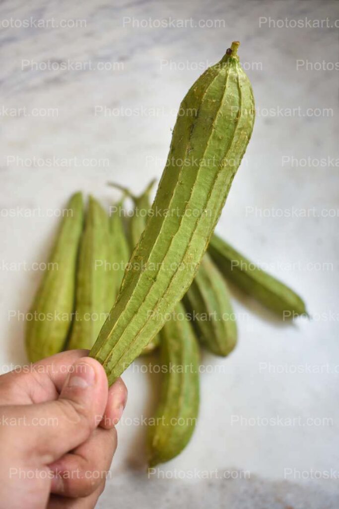 Fresh Ridge Gourd Stock Image