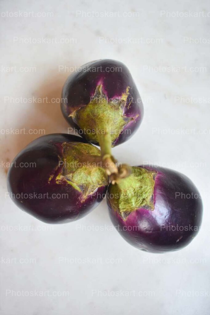 Fresh Vegetable Brinjal Stock Image