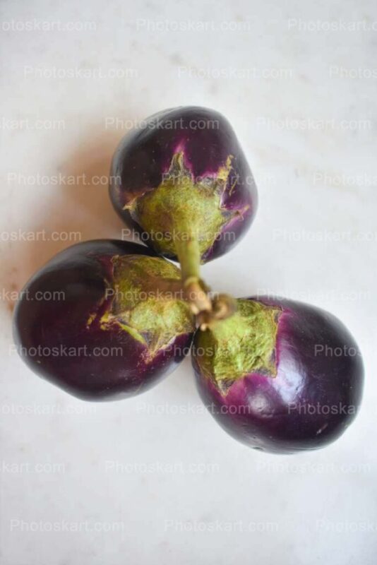 DG11620920, Fresh Vegetable Brinjal Stock Image, new, vegetable, vegetable stock photo, free stock photos, free stock photo, stock photo, vegetable photography, free vegetable stock photo, fresh vegetable, fresh, best stock photo, photo, free photo, best stock photography, free photography, vegetable photoshoot