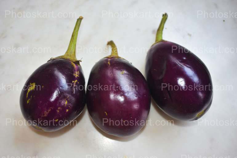Indian Eggplant Royalty Free Stock Images