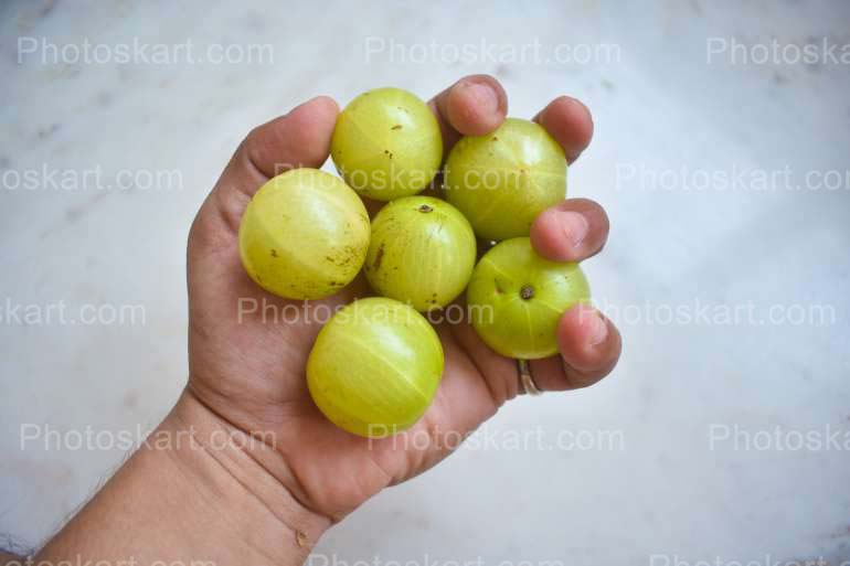 Indian Gooseberry Stock Image