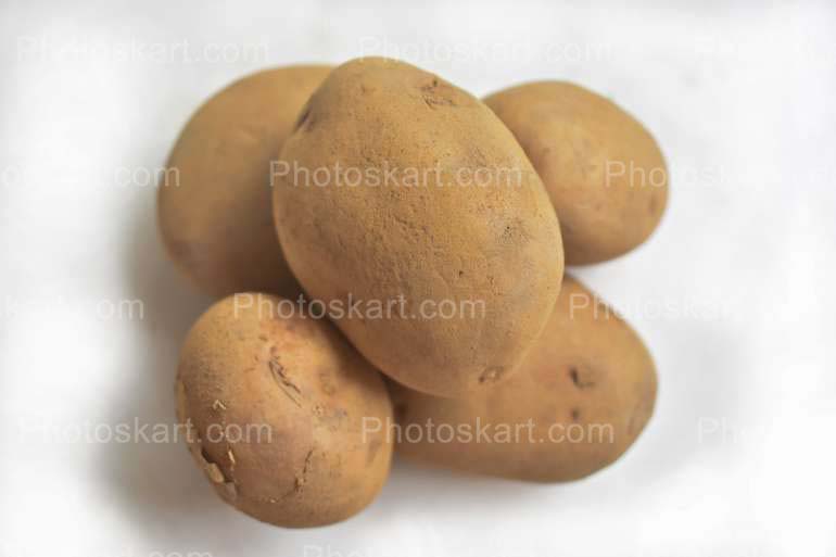 Indian Potato Royalty Free Stock Image