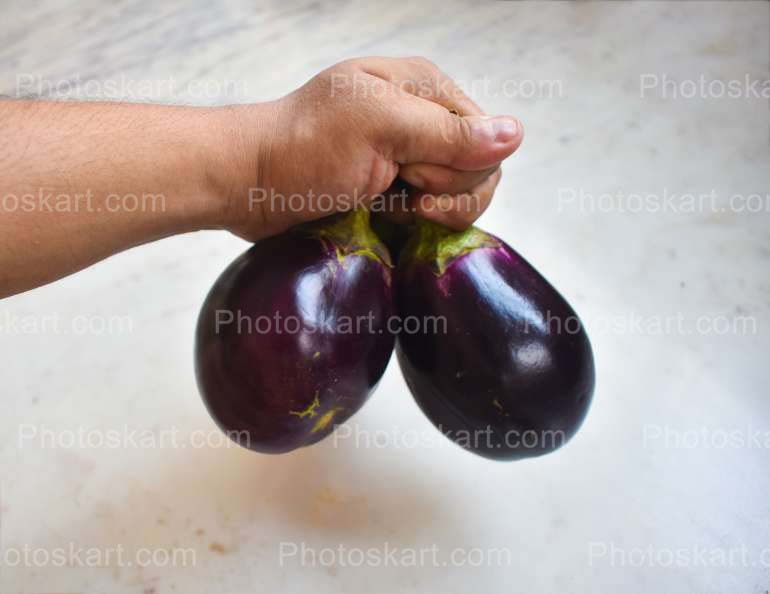 Organic Brinjal Royalty Free Stock Images