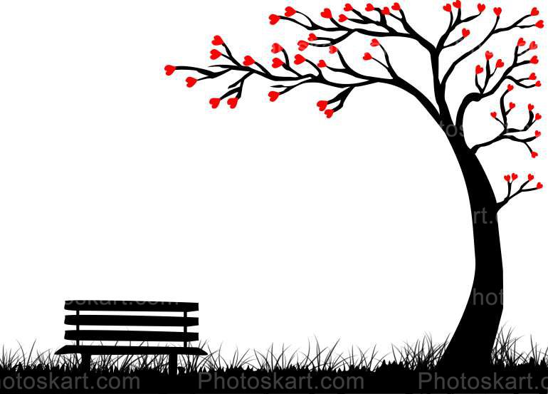 tree and bench in an indian park vector image | Photoskart