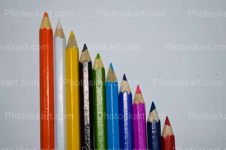 Multi Brand Multicolor Pencils Stock Image
