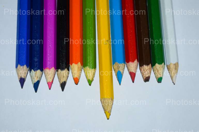 Set Of Color Pencils With White Background Stock Image