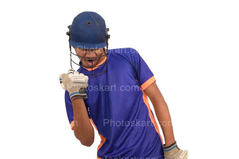 Cricketer Winning Celebration Stock Image