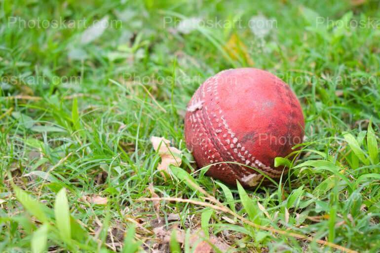 Stock Image Of A Cricket Ball Royalty Free