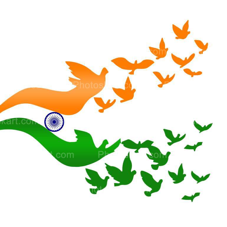 Abstract Indian Flag With Pigeon Vector Images