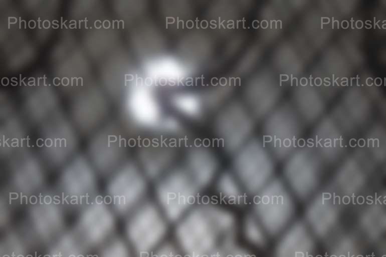 Blur Background On Metal Fence Stock Image