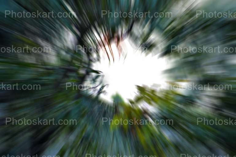 Blurred Green Trees Background Free Stock Photo