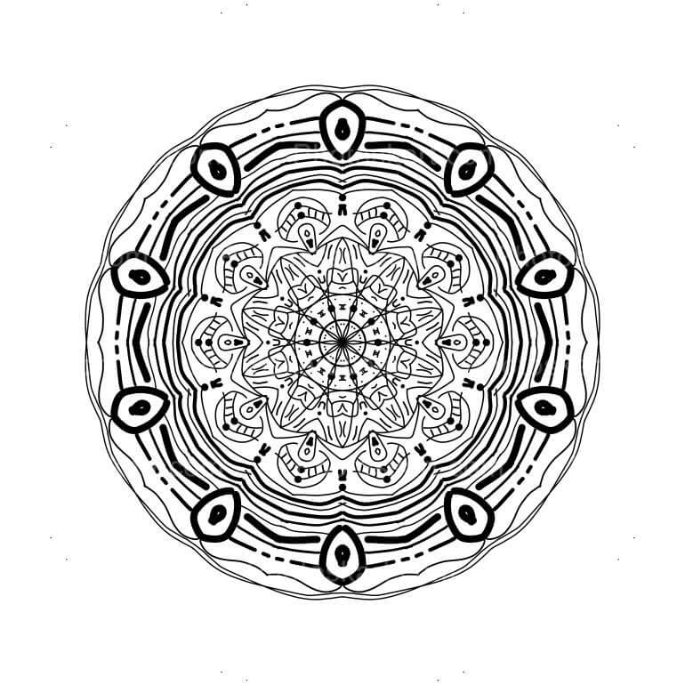 DG4271920921
