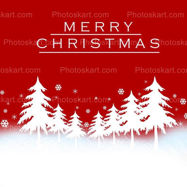 Merry Christmas Wishing With Ice Covered Trees